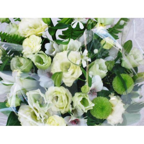 �m���������A�����W���N���|��
