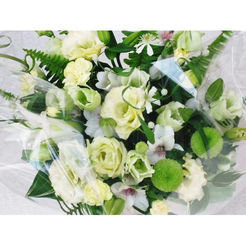 �m���������A�����W���N���|��2