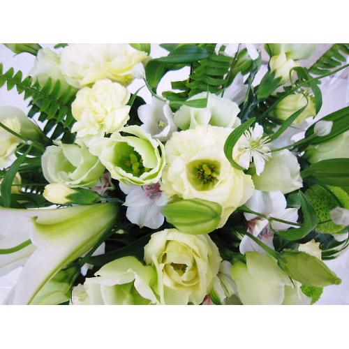 �m���������A�����W���N���|��3