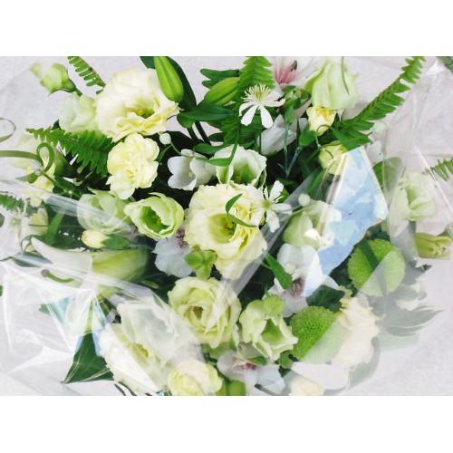 �m���������A�����W���N���|��5