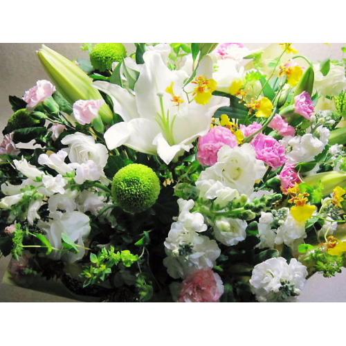 �m���������A�����W4