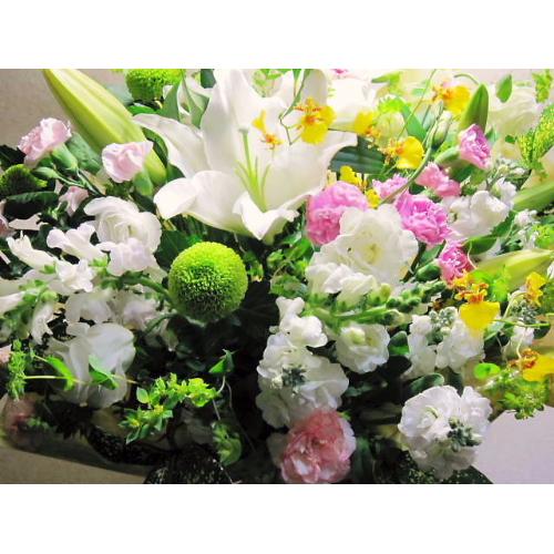 �m���������A�����W6
