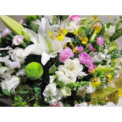 �m���������A�����W