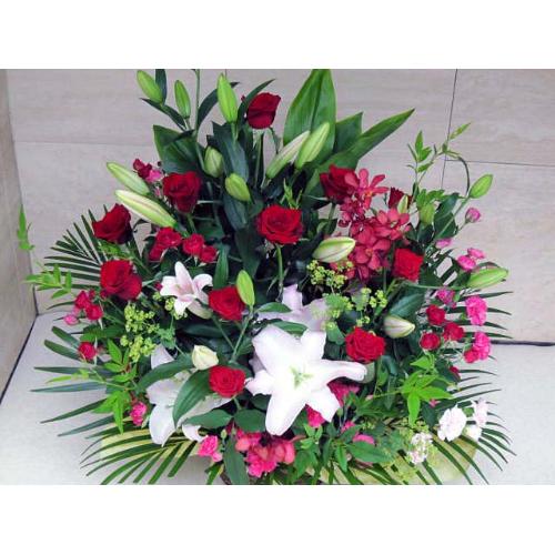 ���j�����A�����W���b�g�J��-�Y�A�����W��
