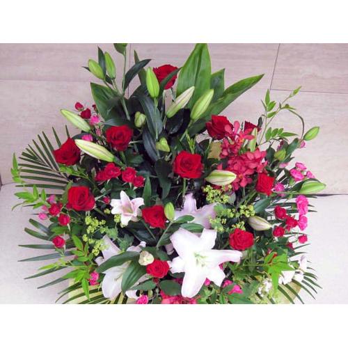 ���j�����A�����W���b�g�J��-�Y�A�����W��2