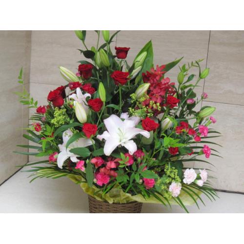���j�����A�����W���b�g�J��-�Y�A�����W��4
