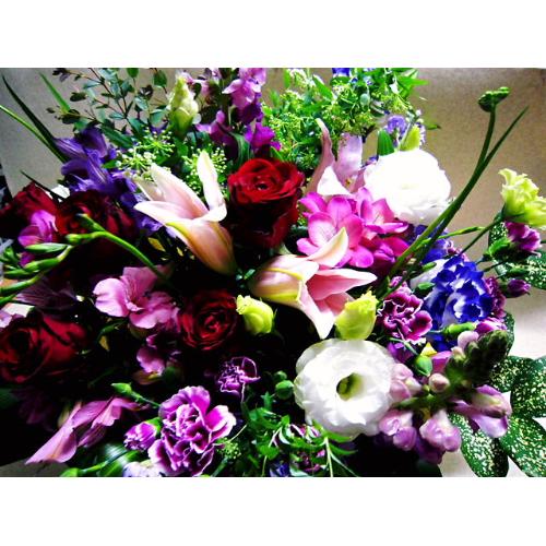 ����݉�6