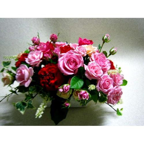 �o�����X�v��-�o�����A�����W����M��