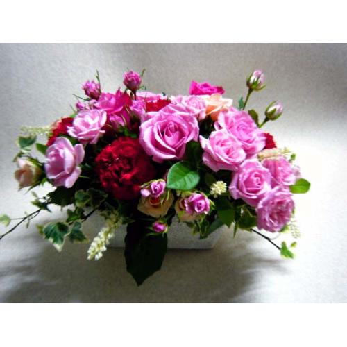 �o�����X�v��-�o�����A�����W����M��2