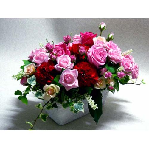 �o�����X�v��-�o�����A�����W����M��3