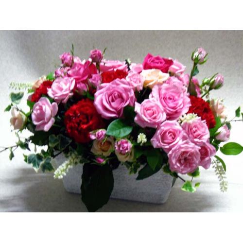 �o�����X�v��-�o�����A�����W����M��5