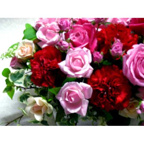 �o�����X�v��-�o�����A�����W����M��6