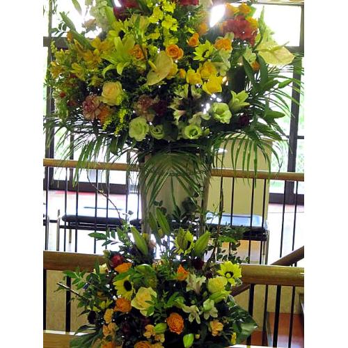���j���X�^���h�ԁ@���C�����F�n�@8!!