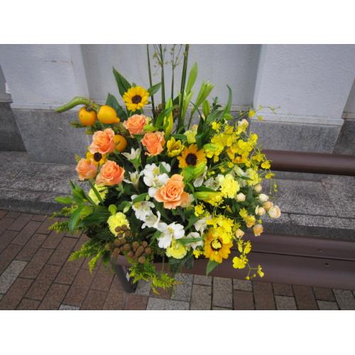 �C�G���\�I�����W�n�̃A�����W���P����2
