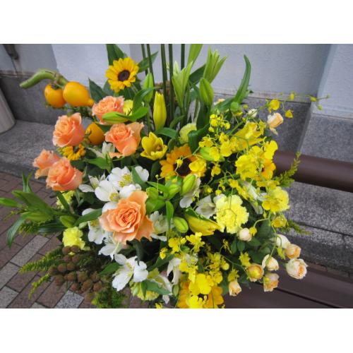�C�G���\�I�����W�n�̃A�����W���P����3