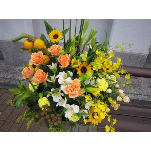 �C�G���\�I�����W�n�̃A�����W���P����4