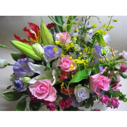 �s���N�n�A�����W���c�i���̖���