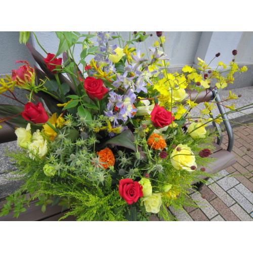���C�G���[�I�����W�n�̃A�����W���c��]���c3