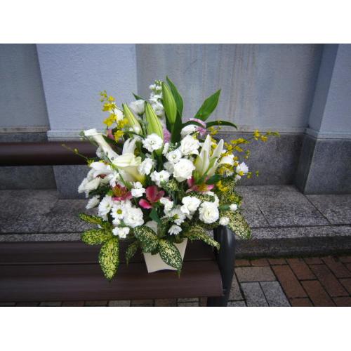 �䋟���A�����W���c���R