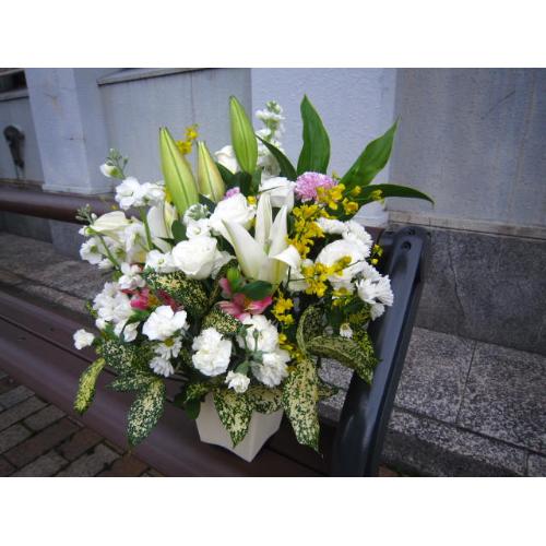 �䋟���A�����W���c���R2
