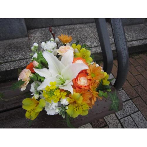 �C�G���[�I�����W�n�A�����W������5