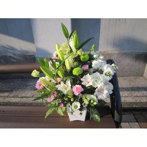 �y�b�g�̃X�y�V�����������A�����W������2