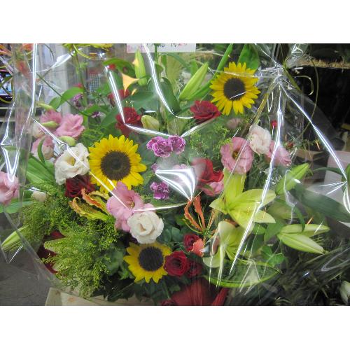 �G�ߌ��肨���߃A�����W2