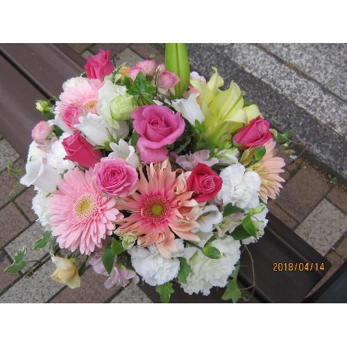���s���N�̉����@�A�����W��2
