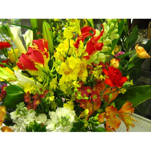 �C�G���\�I�����W�n�̃A�����W���Ł�3
