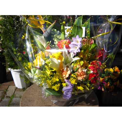 �C�G���\�I�����W�n�̃A�����W���Ł�4