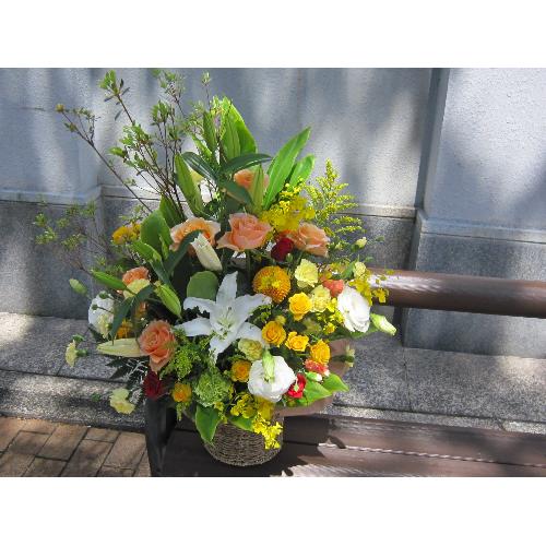 �C�G���\�I�����W�n�̃A�����W���T����2