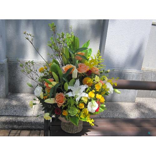 �C�G���\�I�����W�n�̃A�����W���T����4