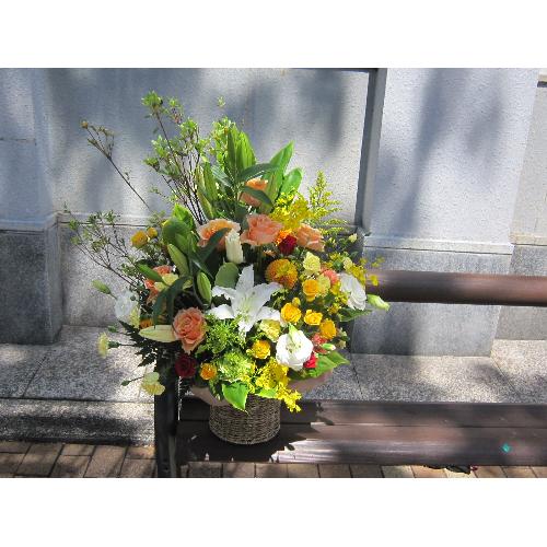 �C�G���\�I�����W�n�̃A�����W���T����5