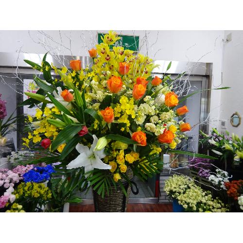 �C�G���\�I�����W�n�̃X�^���h���P����2