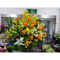 �C�G���\�I�����W�n�̃X�^���h���P����
