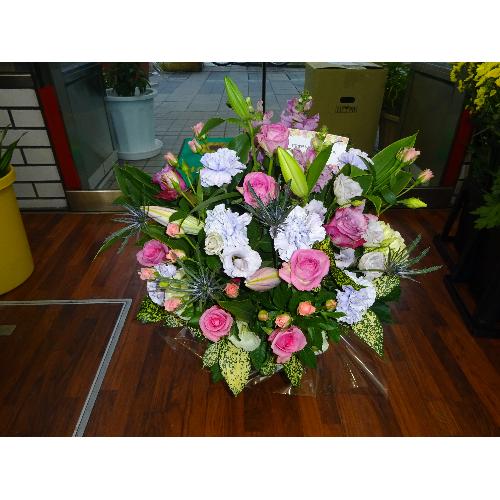 ���s���N�̉����@�A�����W������2