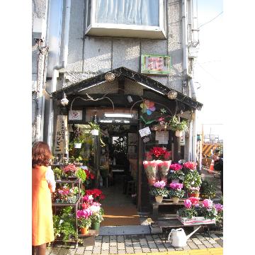 �X�܊O�ω摜