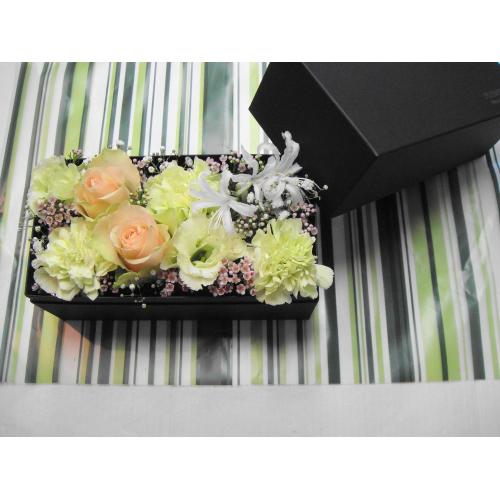 BOX�A�����W