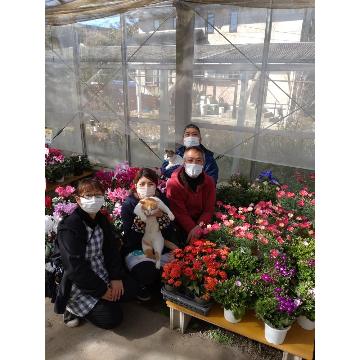 �X�^�b�t�摜
