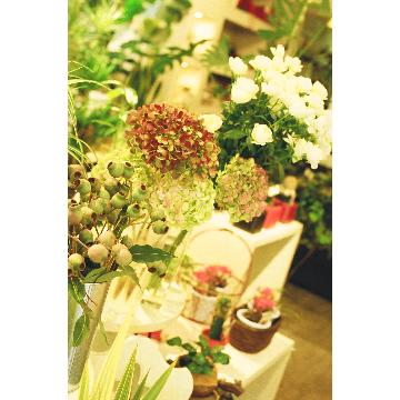 �X�܊O�ω摜