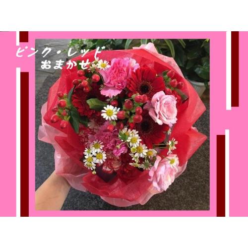 ��s���N�E���b�h�n���܂����u�[�P��