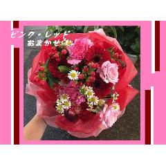 ��s���N�E���b�h�n���܂����u�[�P��