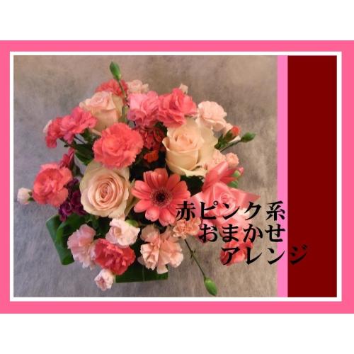 ��s���N�E���b�h�n���܂����A�����W��2