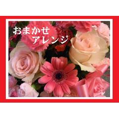 ��s���N�E���b�h�n���܂����A�����W��