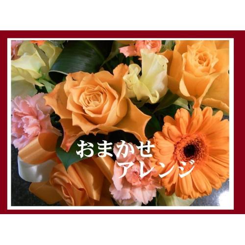 ��r�^�~���J���[���܂����A�����W��