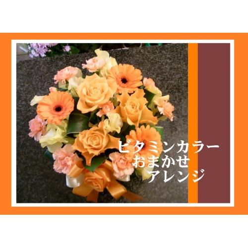 ��r�^�~���J���[���܂����A�����W��2