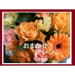 ��r�^�~���J���[���܂����A�����W��