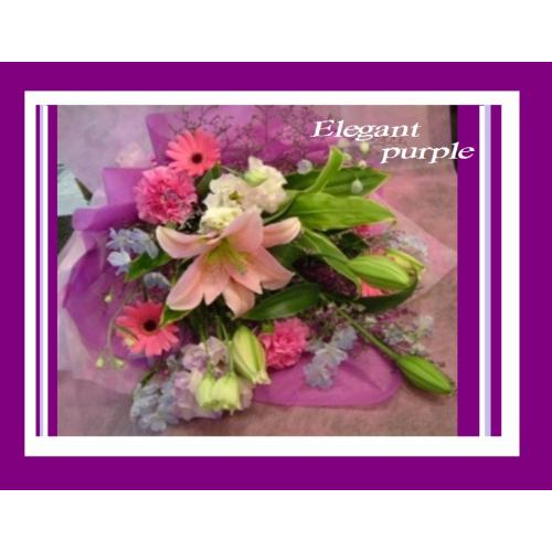 �+�*�G���K���g�p�[�v���u�[�P*�+ߕ�̓���