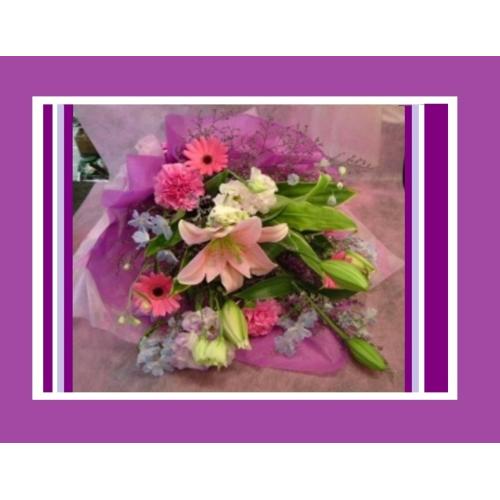 �+�*�G���K���g�p�[�v���u�[�P*�+ߕ�̓���2
