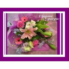 �+�*�G���K���g�p�[�v���u�[�P*�+ߕ�̓���
